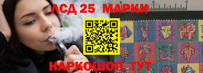 сатива Кингисепп