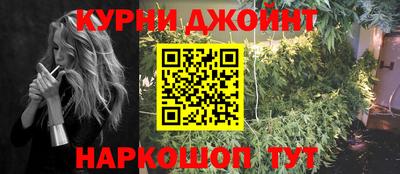 сатива Кингисепп