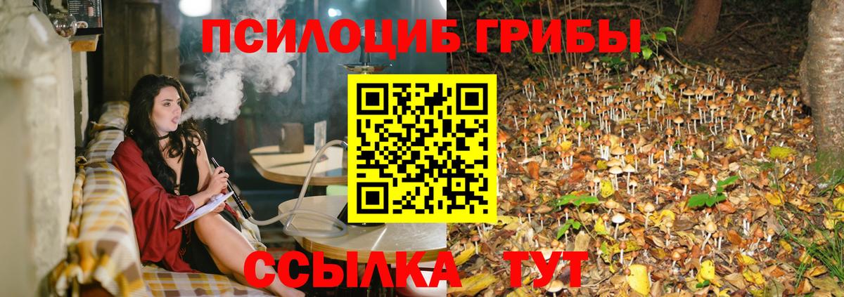 Волхов  Галлюциногенные грибы мухоморы  Псилоцибиновые грибы мухоморы  Вход с VPN 